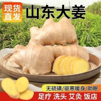 山东新鲜大姜超市生鲜蔬菜老姜即食水果生姜水洗净姜 山东大姜250g