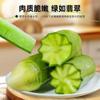 京鲜生天津沙窝萝卜5斤 礼盒 甜脆水果萝卜 青萝卜 地理标志农产品