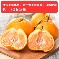  四川春见耙耙柑 净重8.5-9斤年货礼盒 单果210g+ 源头直发包...