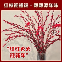 银柳送挂饰】年宵花真花鲜枝红色客厅室内干花盆栽摆件水培 【30枝】招财...